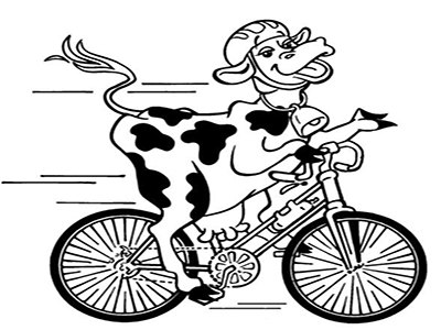 Bike Tour